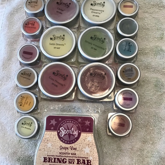 Other - Scentsy Lot Of 6